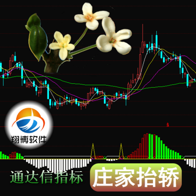 ͨŰ棭ׯ̧ׯ ʼ 