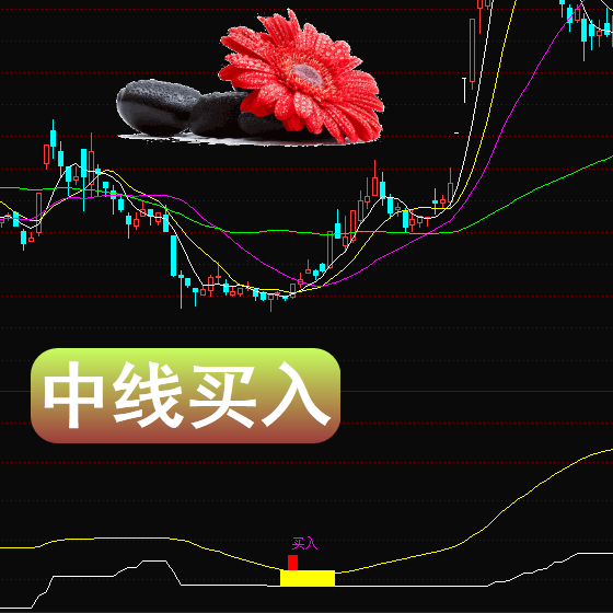 通达信版-中线买入适合在2个月左右的时间内会有所拉升中线获利