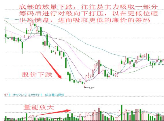 图片6.jpg